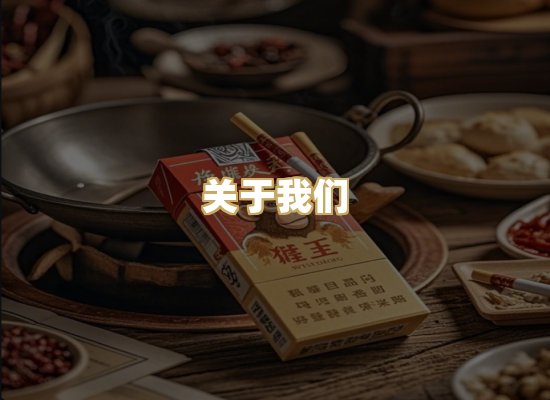 关于我们